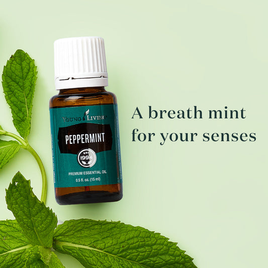 Young Living Peppermint Essential Oil - 15ml