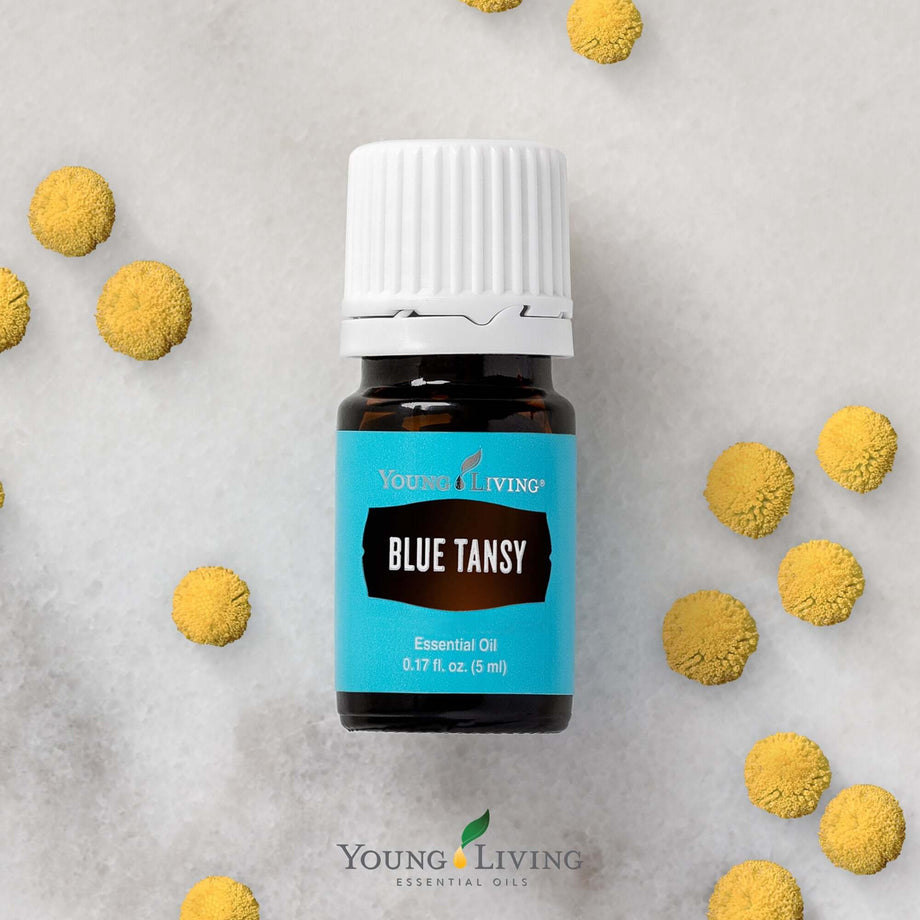 Young Living Blue Tansy Essential Oil - 5ml – Essential Oil Life