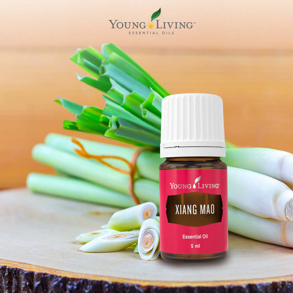 Young-Living-Xiang-Mao-Essential-Oil-5ml