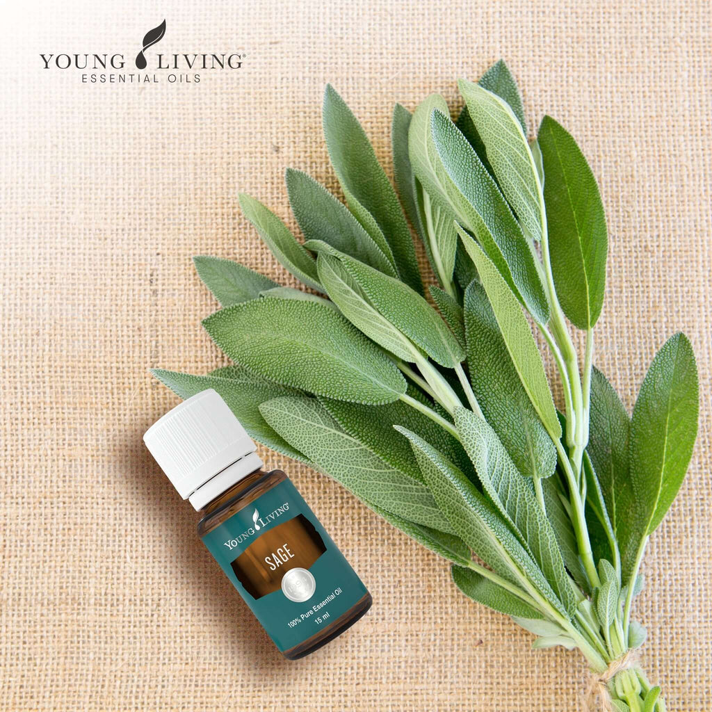 Young-Living-Sage-Essential-Oil-15ml