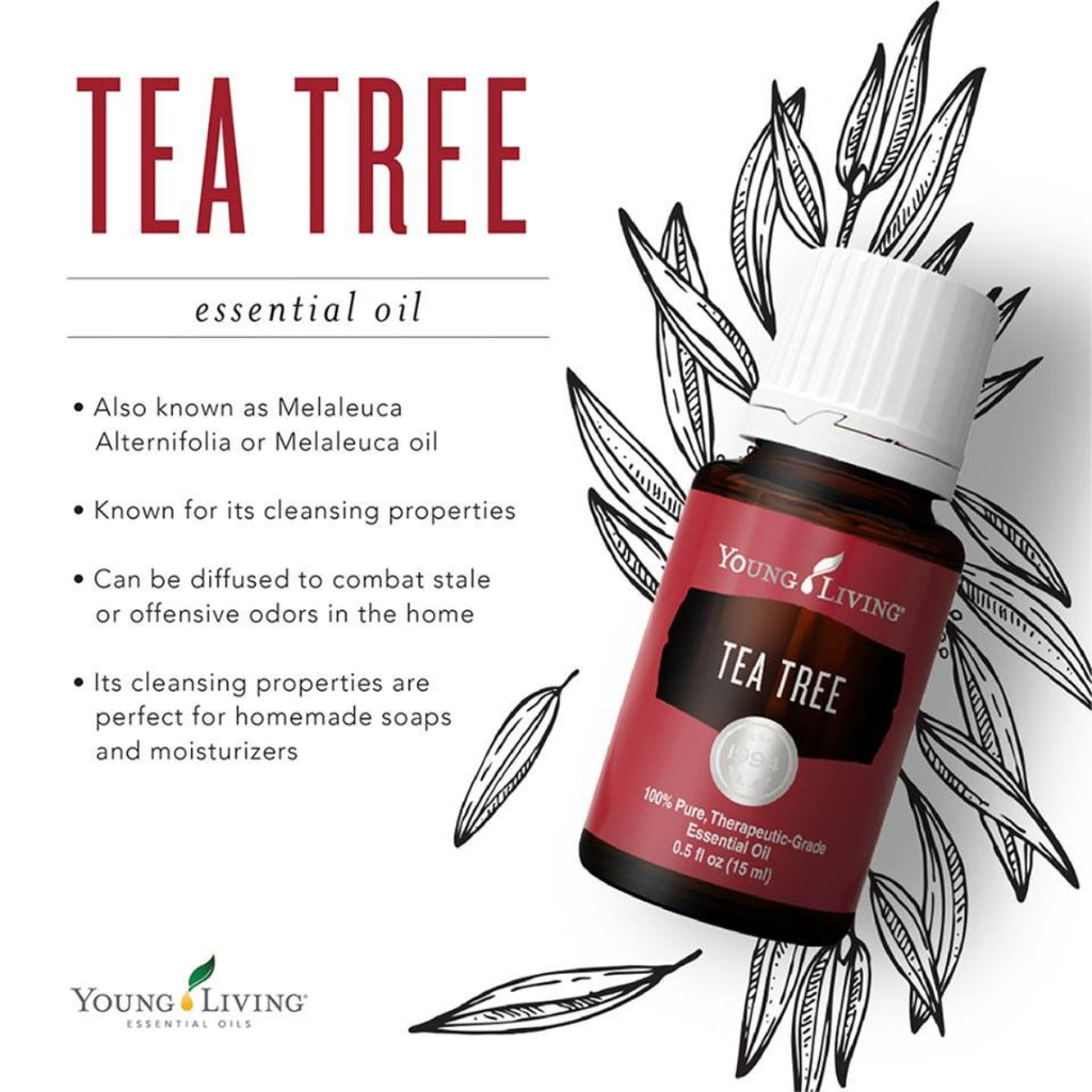 Young-Living-Tea-Tree-Essential-Oil-15ml
