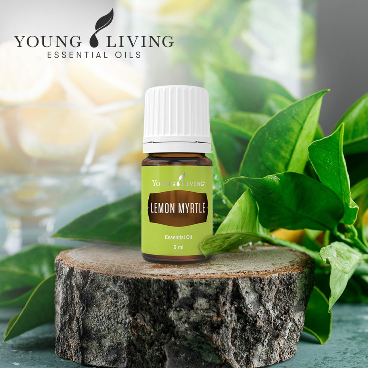 Young Living Lemon Myrtle Essential Oil - 5ml – Essential Oil Life