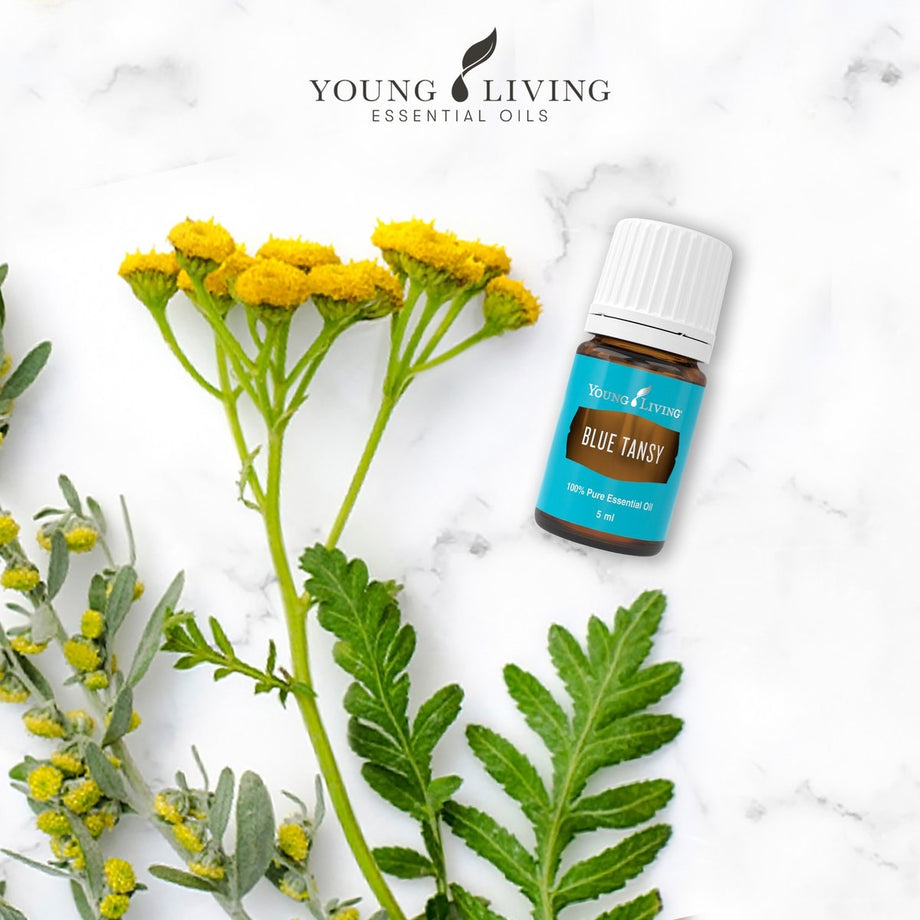 Young Living Blue Tansy Essential Oil 5ml Essential Oil Life