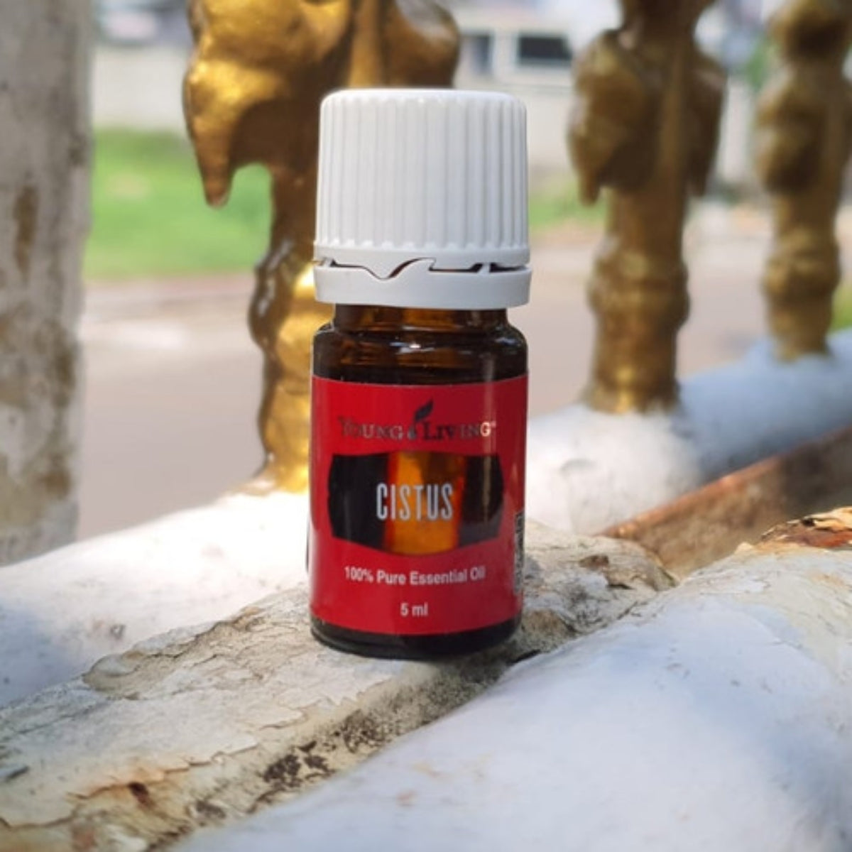 Young Living Cistus Essential Oil - 5ml – Essential Oil Life