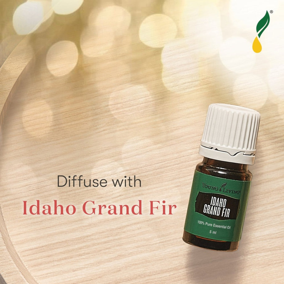 Idaho Grand Fir Oil  Young Living Essential Oils