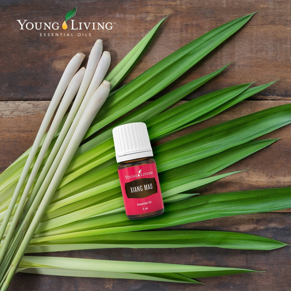 Young-Living-Xiang-Mao-Essential-Oil-5ml
