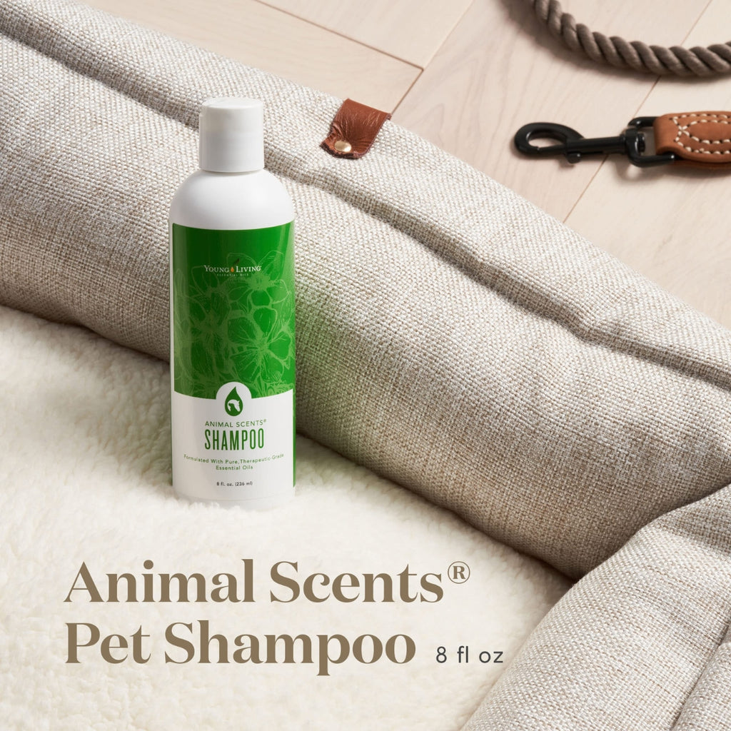 Young-Living-Animal-Scents-Shampoo-8oz