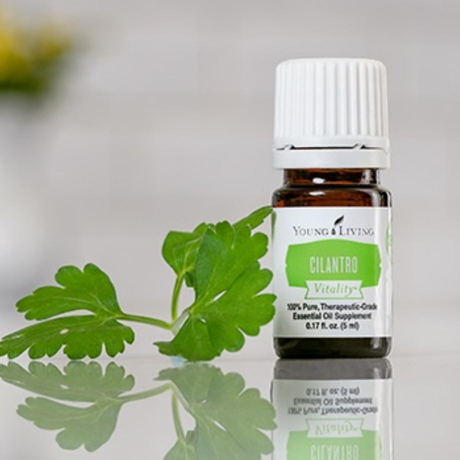 Young Living Cilantro Vitality Essential Oil - 5ml – Essential Oil