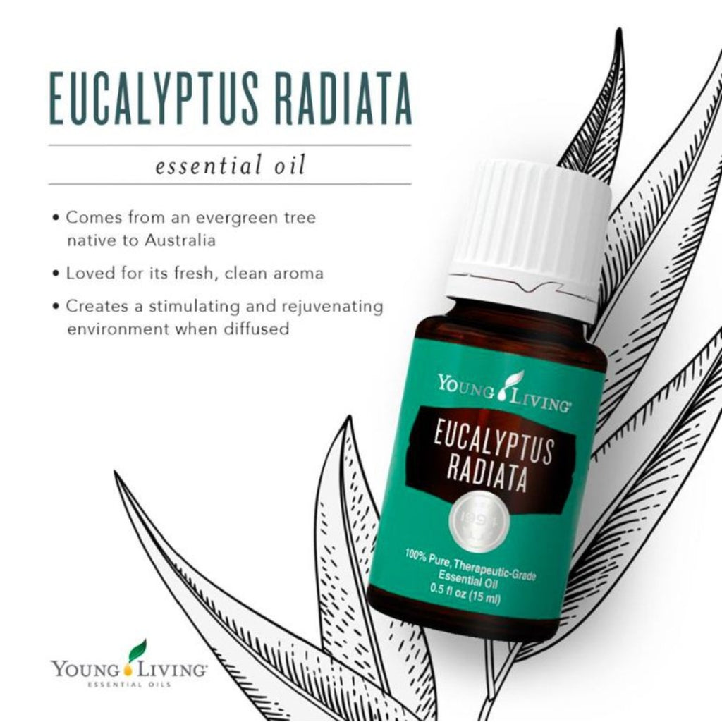 Young-Living-Eucalyptus-Radiata-Essential-Oil-15ml