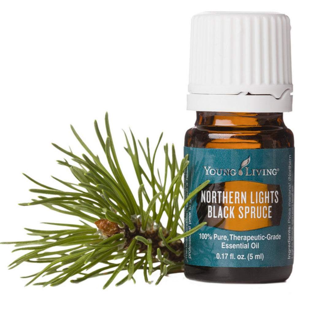 Young-Living-Northern-Lights-Black-Spruce-Essential-Oil-5ml