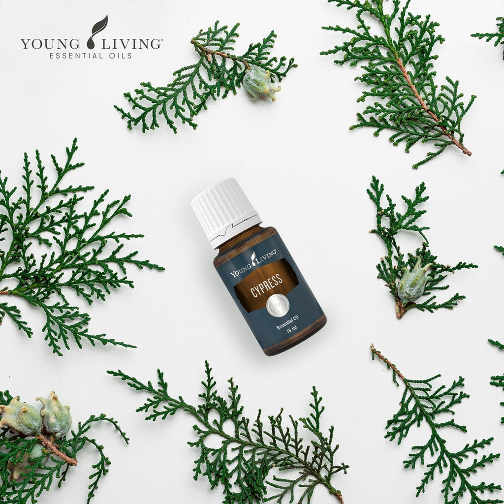 Young-Living-Cypress-Essential-Oil-15ml