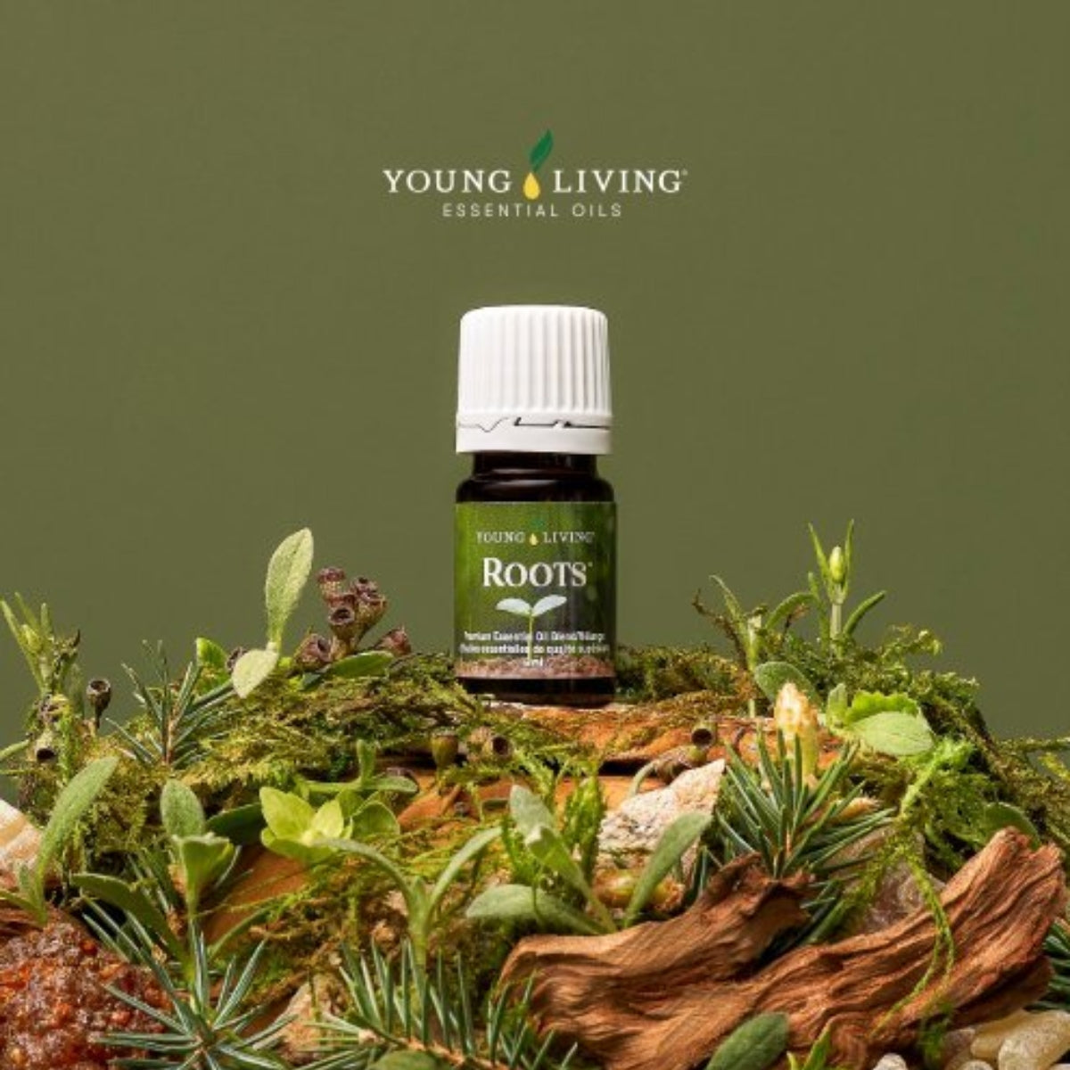Young Living Roots™ Essential Oil Blend - 5ml – Essential Oil Life