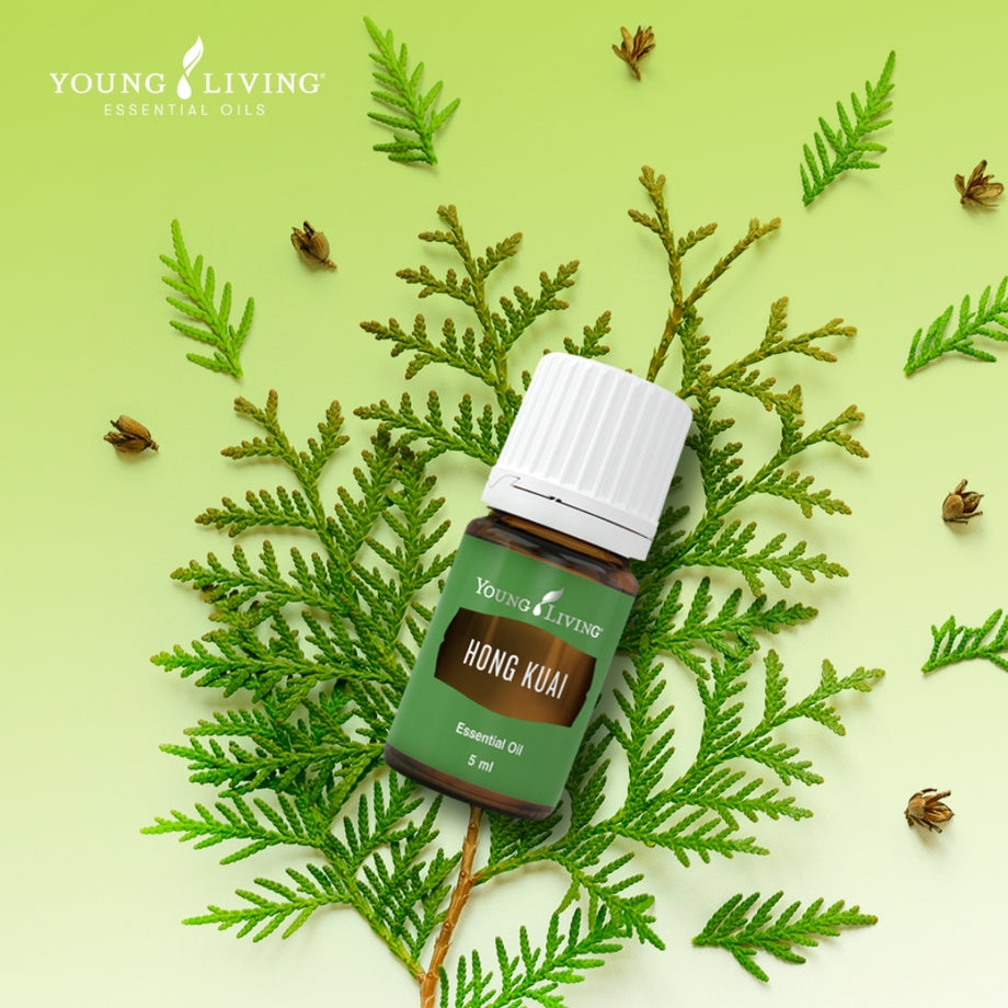 ヤングリビング・Hong kuaiエッセンシャルオイル5ml Hong Kuai Essential Oil | Young Living Essential Oils
