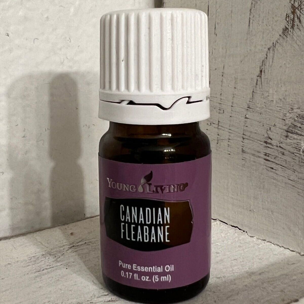 young-living-canadian-fleabane-essential-oil-5ml