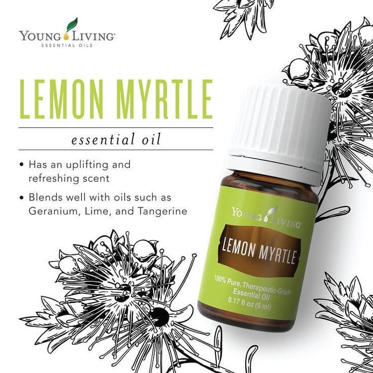 Young Living Lemon Myrtle Essential Oil - 5ml – Essential Oil Life
